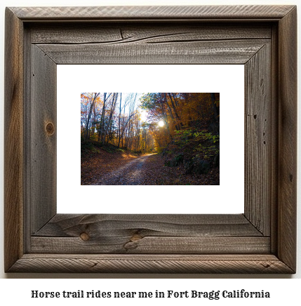 horse trail rides near me in Fort Bragg, California